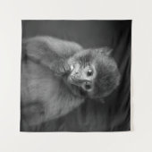 SHALLOW FOCUS FOTOGRAFIE DES SCHWARZEN MONKEY WANDTEPPICH (Vorderseite (Horizontal))