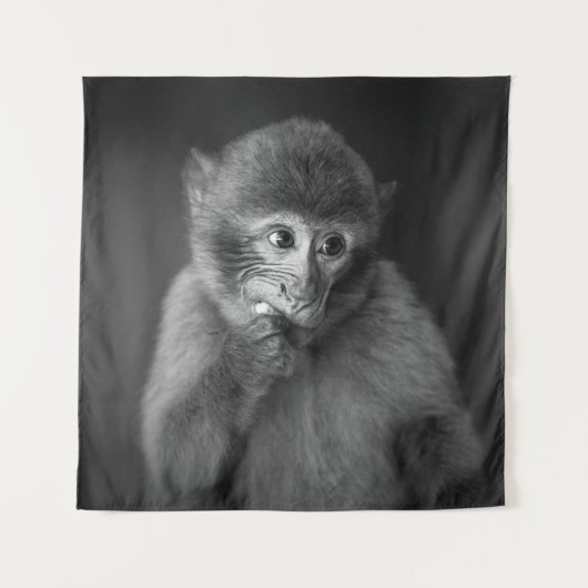 SHALLOW FOCUS FOTOGRAFIE DES SCHWARZEN MONKEY WANDTEPPICH (Vorderseite)