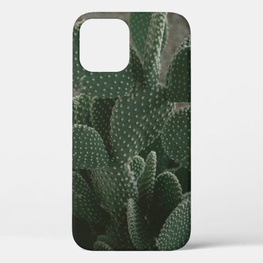 SHALLOW FOCUS FOTOGRAFIE VON CACTUS Case-Mate iPhone HÜLLE (Rückseite)