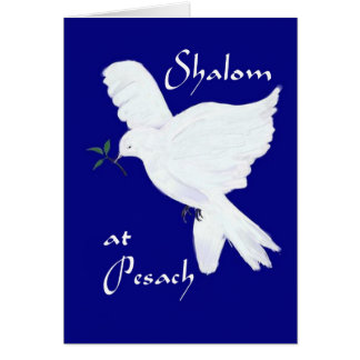 Shalom bei Pesach! E-weiß Friedenstaube