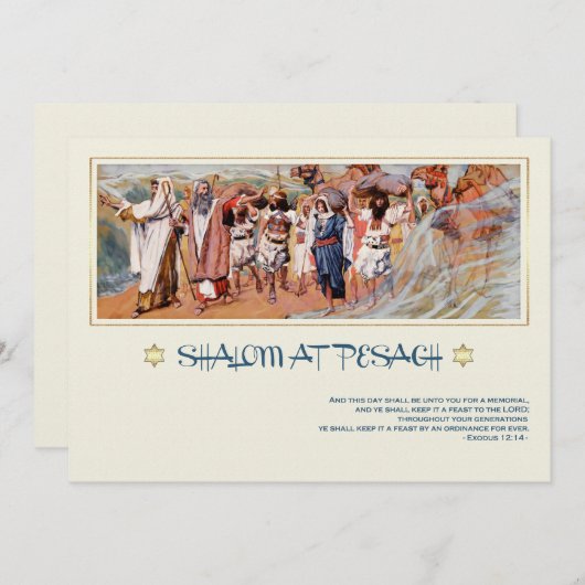 Shalom in Pesach. Fine Art Passover Grußkarte Karte (Vorne/Hinten)