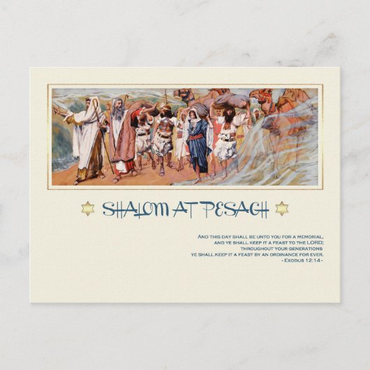 Shalom in Pesach.Fine Art Pessach Postkarte (Vorderseite)