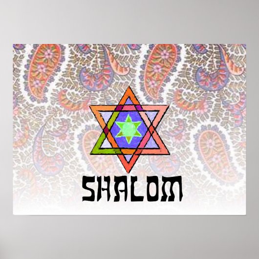 Shalom Pink Paisley Poster (Vorne)