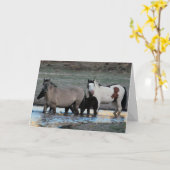 Shaman & Granite ~ Legend Grußkarte Karte (Gelbe Blume)