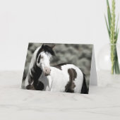 Shaman the Mustang Folk Note Card (Vorderseite)