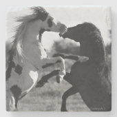 Shaman, wilder Medizin-Hut Stallion Untersetzer (Vorderseite)