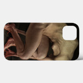 Shame 2012 Case-Mate iPhone hülle (Rückseite (Horizontal))