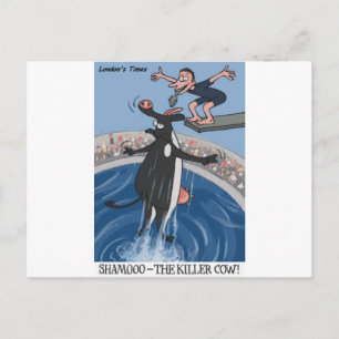 Shamooo Funny Cow Geschenke & Sammlerstücke Postkarte