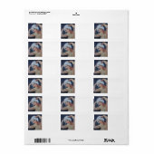 Shampoo Day Adressaufkleber (Vorne)