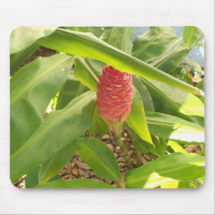Shampoo Ginger Blume Mousepad