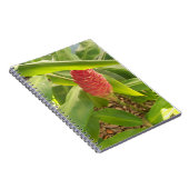 Shampoo Ginger Blume Notizblock (Rechte Seite)