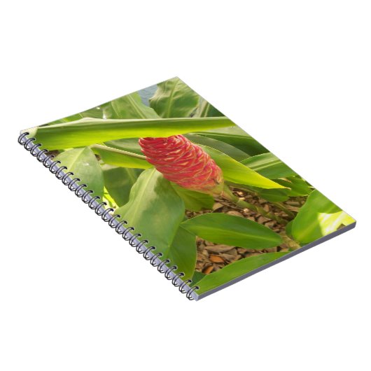 Shampoo Ginger Blume Notizblock (Rechte Seite)