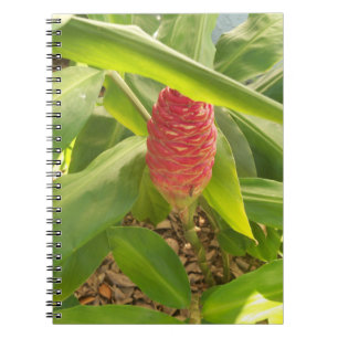 Shampoo Ginger Blume Notizblock