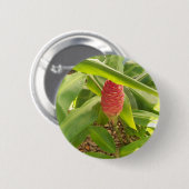 Shampoo Ingwerblüte Button (Vorne & Hinten)