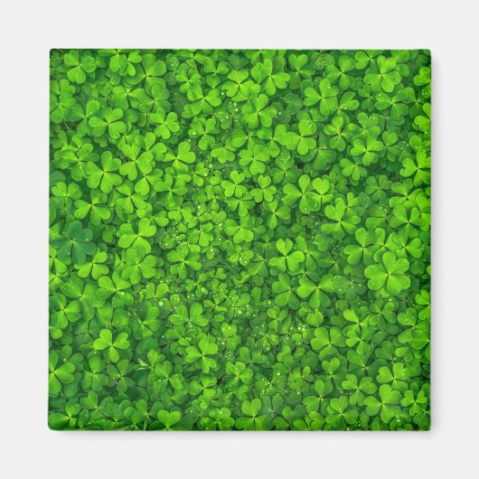 Shamrock green, St. Patrick's Day, Magnet (Vorne)