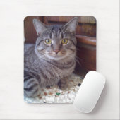 Shangel Mousepad (Mit Mouse)