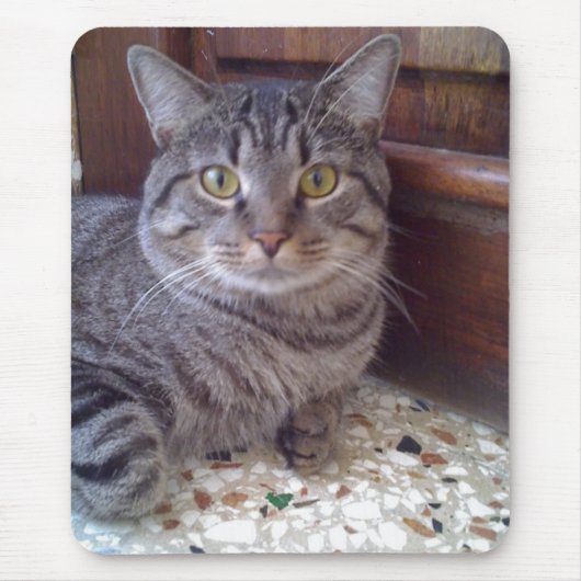 Shangel Mousepad (Vorne)