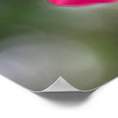 Shanghai Beauty Poster (Ecke)