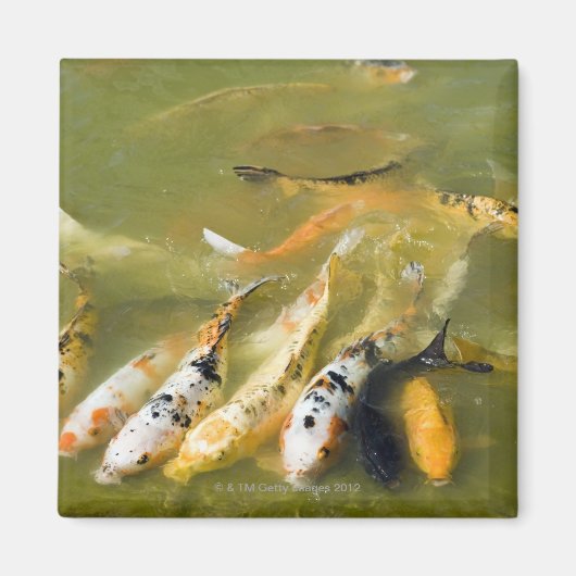 Shanghai, China Magnet (Vorne)