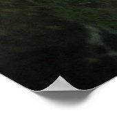 Shannon ist ganz aufgewaschen! poster (Ecke)