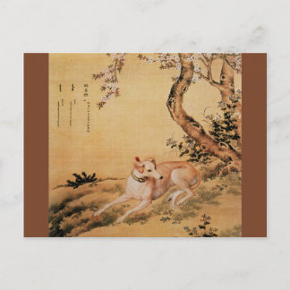 Shanxing Wolf ~睒 星~Greyhound ~Giuseppe Castiglione Postkarte
