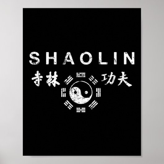 Shaolin Kung Fu Chinesische Kampfkunst Poster (Vorne)
