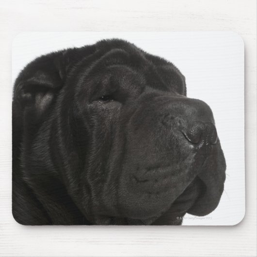 Shar Pei (1 Jahr alt) nah-up Mousepad (Vorne)
