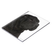 Shar Pei (1 Jahr alt) nah-up Notizblock (Linke Seite)