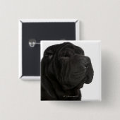 Shar Pei (1 year old) close-up Button (Vorne & Hinten)