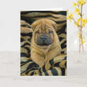 Shar-Pei 4 Woche alte Welpen-Karte Karte (Gelbe Blume)