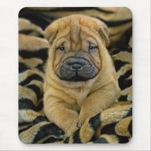 Shar-Pei 4-Wochen-alter Welpe Mousepad