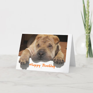 Shar Pei Birthday Karte