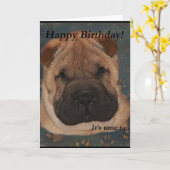 Shar Pei Birthday-Take Paws Karte (Gelbe Blume)