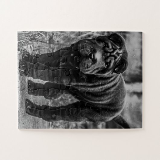 SHAR PEI BLACK DOG JIGSAW PUZZLE (Horizontal)