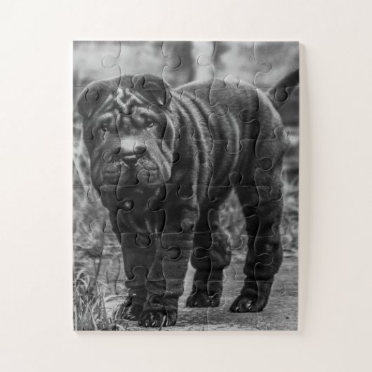 SHAR PEI BLACK DOG JIGSAW PUZZLE (Vertikal)