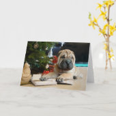 Shar Pei Christmas Karte (Gelbe Blume)