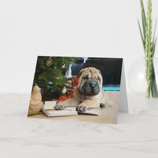 Shar Pei Christmas Karte (Vorderseite)
