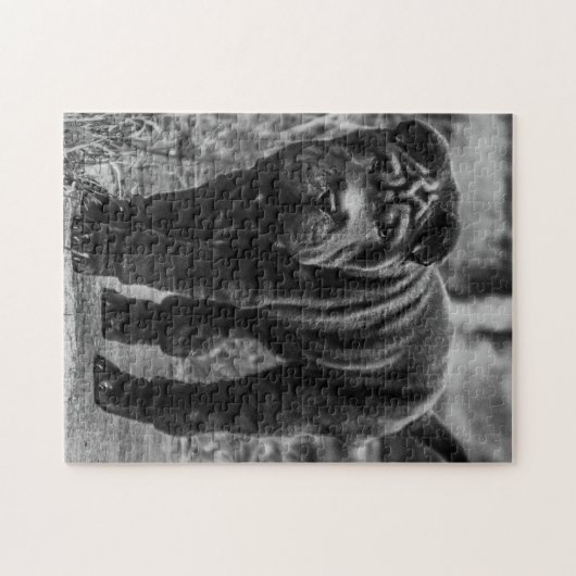 SHAR PEI CUTE DOG JIGSAW PUZZLE (Horizontal)