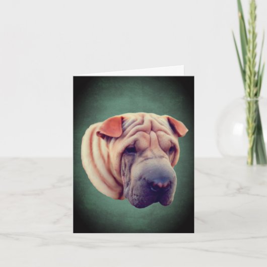 Shar Pei Dog Face Note Card Karte (Vorderseite)