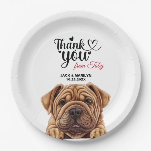 Shar-Pei Dog Pappteller (Vorderseite)