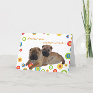 Shar Pei ein anderes Jahr älter Karte
