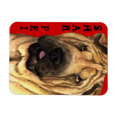 Shar-Pei-Farbblock Magnet (Horizontal)
