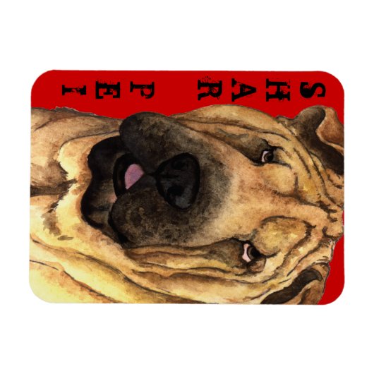 Shar-Pei-Farbblock Magnet (Horizontal)