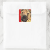 Shar-Pei-Farbblock Quadratischer Aufkleber (Tasche)