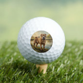 Shar Pei Golfball (Insitu T-Shirt)