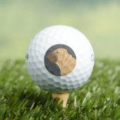 Shar Pei Golfball (Insitu T-Shirt)