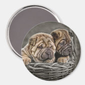 Shar-Pei-Jungtiere in Basket Magnet (Vorderseite/Rückseite)