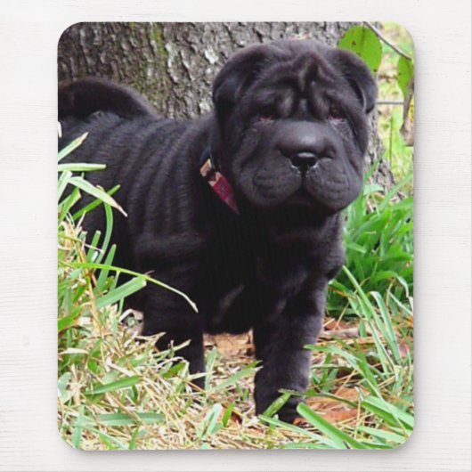 Shar-pei Mausunterlage Mousepad (Vorne)