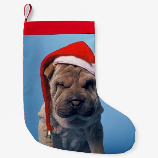 Shar pei mit Weihnachtshut Kleiner Weihnachtsstrumpf (Vorderseite)