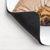 Shar Pei Mousepad (Ecke)